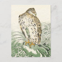 Japanse Zee Eagle - Osprey Briefkaart