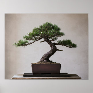 Japanse Zwarte Den Bonsai | Zen Wandkunst Poster