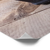 Japanse Zwarte Pine Bonsai Boom Foto Poster (Hoek)