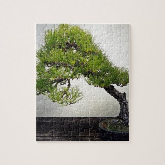 Japanse zwarte pine Bonsai Legpuzzel (Verticaal)