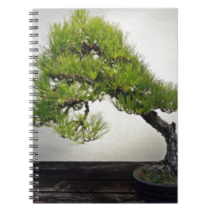 Japanse zwarte pine Bonsai Notitieboek