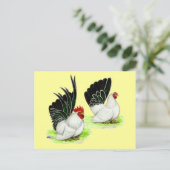 Japanse zwarte witte bantams briefkaart (Staand voorkant)