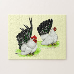 Japanse zwarte witte bantams legpuzzel