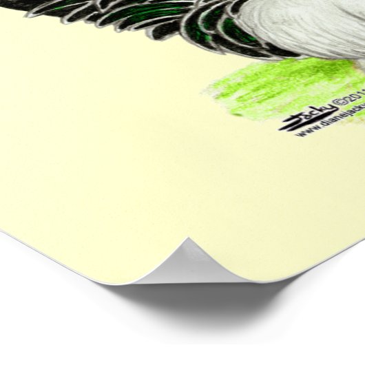 Japanse zwarte witte bantams poster (Hoek)