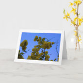 Japnonica Kaart (Gele Bloem)