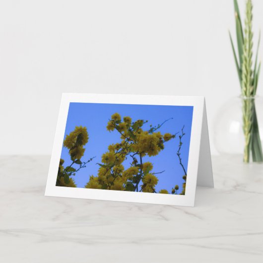 Japnonica Kaart (Voorkant)