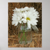 Jar of Daisies & Hay Poster (Voorkant)