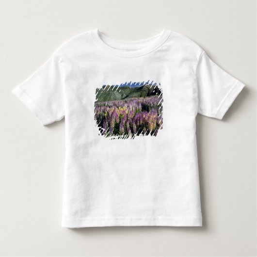 JARBIDGE WILDERNESS, NEVADA. VS. Spur lupine Kinder Shirts (Voorkant)