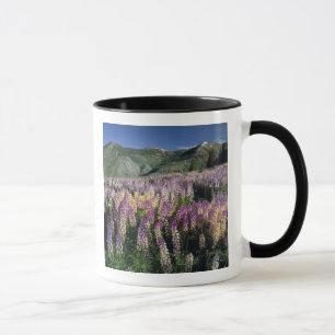 JARBIDGE WILDERNESS, NEVADA. VS. Struiklupine Mok