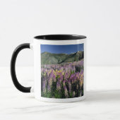 JARBIDGE WILDERNESS, NEVADA. VS. Struiklupine Mok (Links)