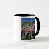 JARBIDGE WILDERNESS, NEVADA. VS. Struiklupine Mok (Voorkant rechts)