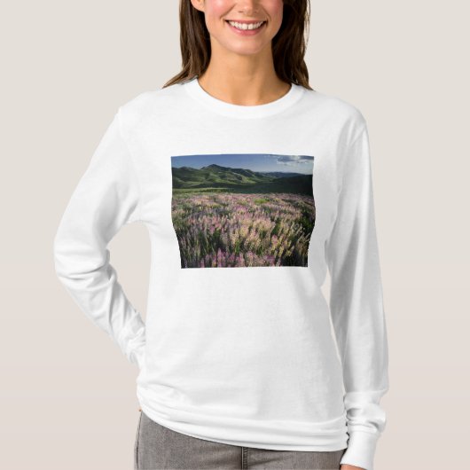 Jarbridge Wilderness and Mountains, Nevada, Spur T-shirt (Voorkant)
