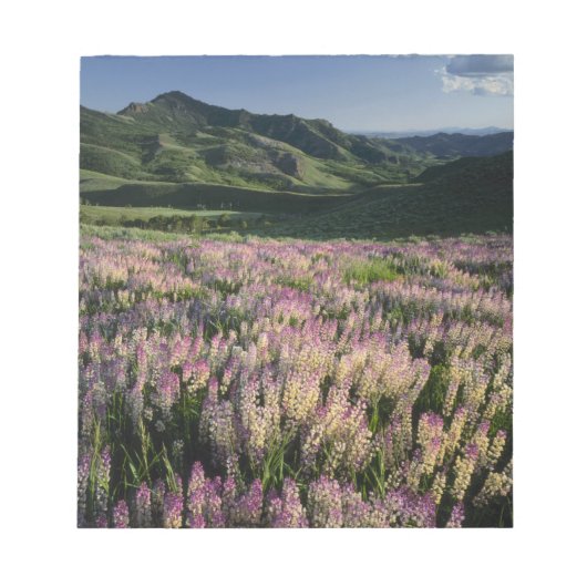 Jarbridge Wilderness en bergen, Nevada, Spur Notitieblok (Voorkant)