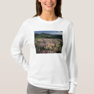Jarbridge Wilderness en bergen, Nevada, Spur T-shirt