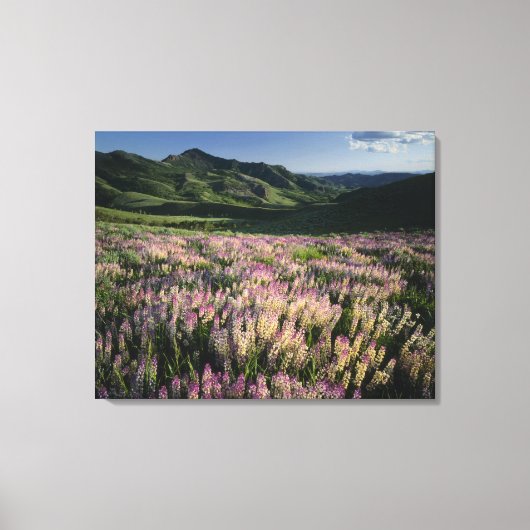 Jarbridge Wilderness en bergen, Nevada, uitloper Canvas Afdruk (Voorkant)