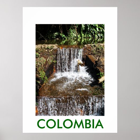 JARDIN BOTANICO, MARSELLA POSTER (Voorkant)