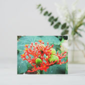 Jardín Botánico Piñeres, Turbaco, Colombia Briefkaart (Staand voorkant)