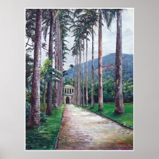 Jardin de Botanica in Rio de Janeiro Poster