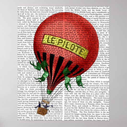 Jardin de Tuileries Hot Air ballon Poster (Voorkant)