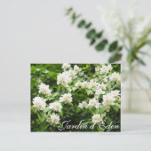 Jardin d'Éden Briefkaart (Staand voorkant)