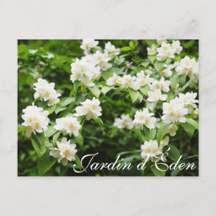 Jardin d'Éden Briefkaart