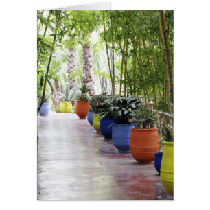 Jardin Majorelle, Majorelle Garden, nu een publiek