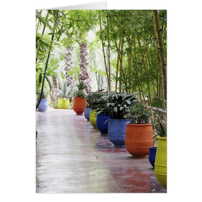 Jardin Majorelle, Majorelle Garden, nu een publiek (Voorkant)