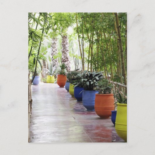 Jardin Majorelle, Majorelle Garden, nu een publiek Briefkaart (Voorkant)