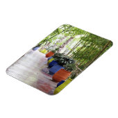 Jardin Majorelle, Majorelle Garden, nu een publiek Magneet (Linkerzijde)