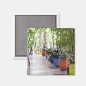 Jardin Majorelle, Majorelle Garden, nu een publiek Magneet (Voorkant / Achterkant)