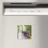 Jardin Majorelle, Majorelle Garden, nu een publiek Magneet (Insitu (Vaatwasser))