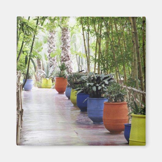 Jardin Majorelle, Majorelle Garden, nu een publiek Magneet (Voorkant)