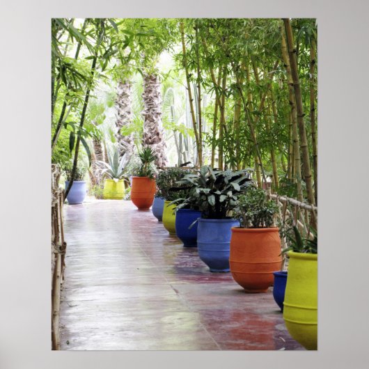 Jardin Majorelle, Majorelle Garden, nu een publiek Poster (Voorkant)