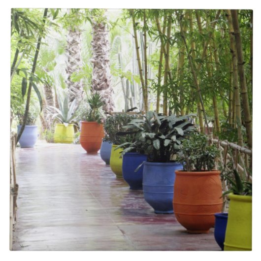 Jardin Majorelle, Majorelle Garden, nu een publiek Tegeltje (Voorkant)