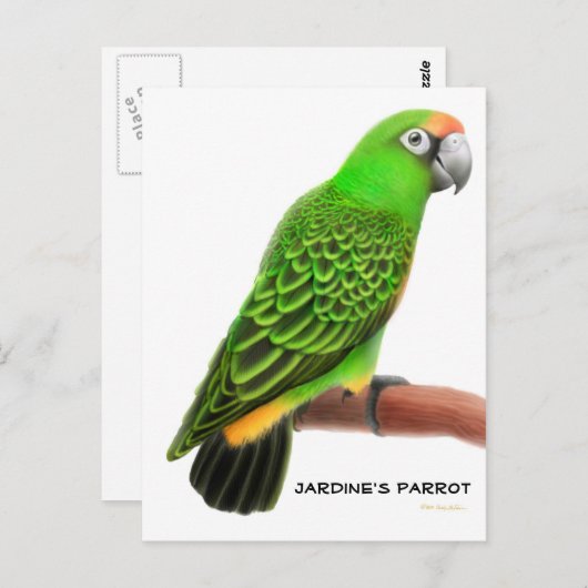 Jardines Parrot Briefkaart (Voorkant / Achterkant)
