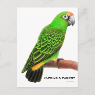Jardines Parrot Briefkaart