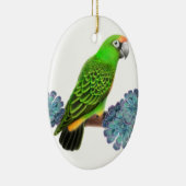 Jardine's Parrot Holiday Ornament (Rechts)
