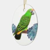 Jardine's Parrot Holiday Ornament (Links)