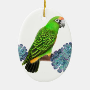 Jardine's Parrot Holiday Ornament