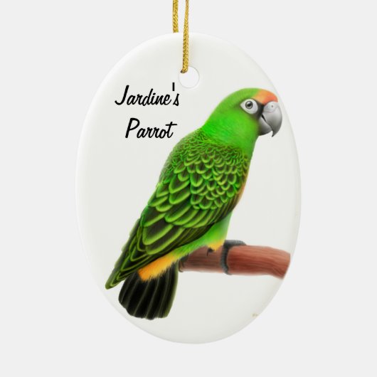 Jardines Parrot  Holiday Ornament (Achterkant)