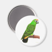 Jardines Parrot Magnet (Voorkant / Achterkant)