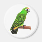 Jardines Parrot Magnet (Voorkant)