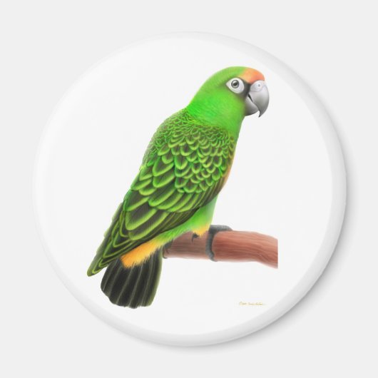 Jardines Parrot Magnet (Voorkant)