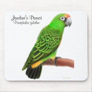 Jardine's Parrot Mousepad Muismat