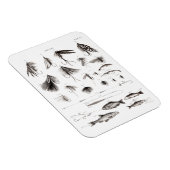  jaren 1800 Angling Fly Fishing lokken lokken Magneet (Rechterzijde)