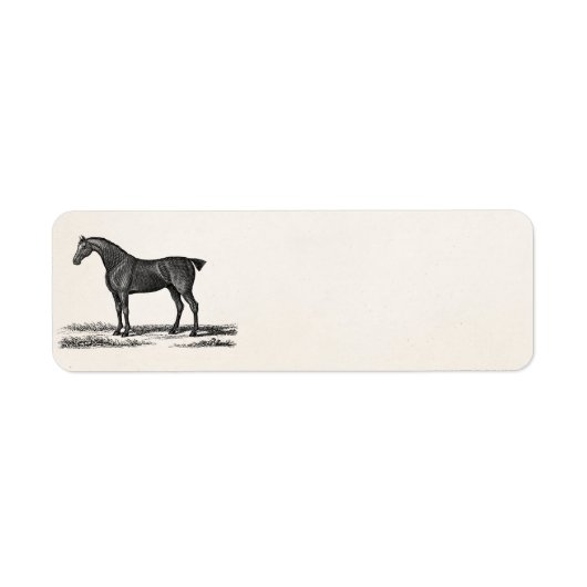  jaren 1800 Engelse jager paard jacht paarden Etiket (Voorkant)