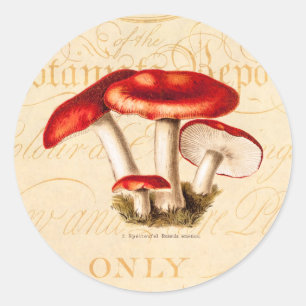  jaren 1800 Paddestoel Rode Paddestoelen Sjabloon Ronde Sticker