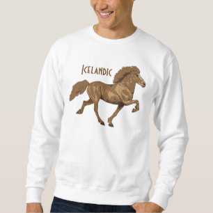 Jaren 30 Vintage IJslands Trui