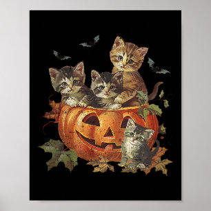 jaren 90 Cat Halloween pompoen Cat Lover Spooky Poster