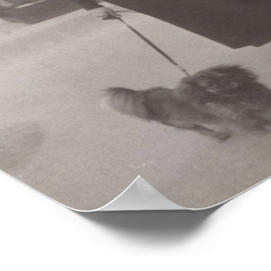 jaren dertig in het poster van Parijs (Hoek)